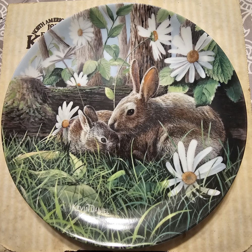 The Rabbit